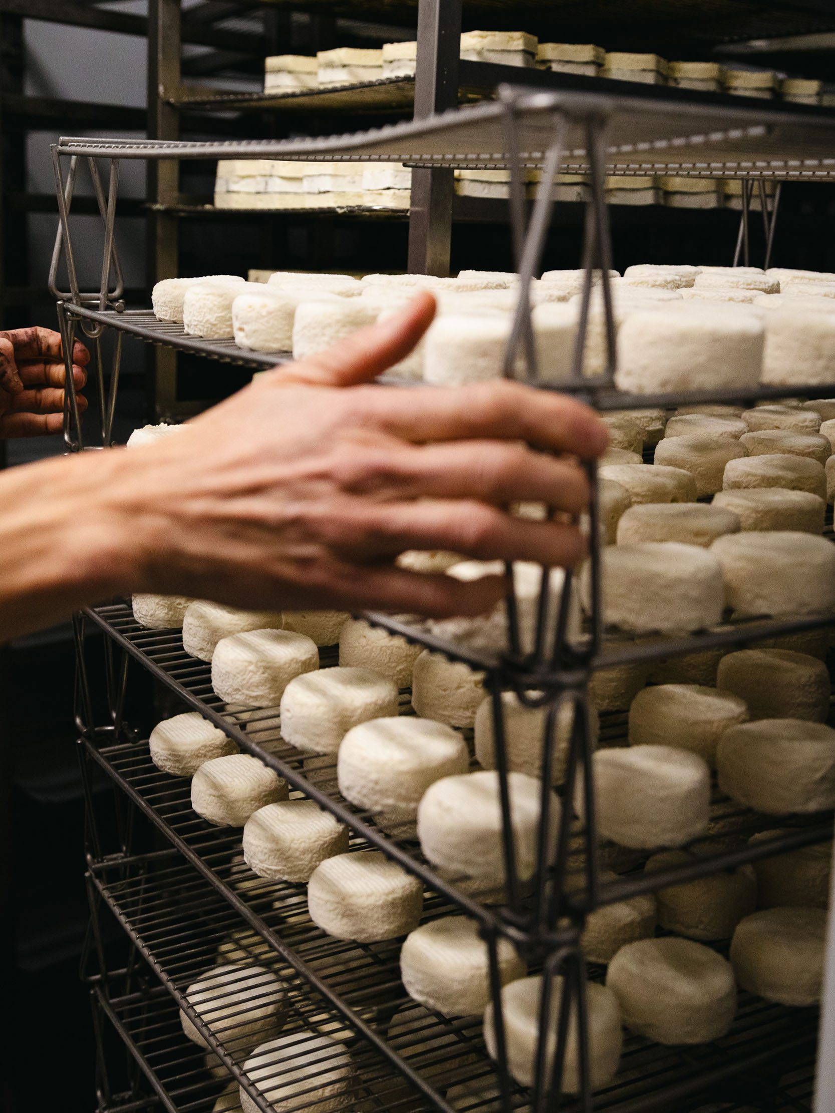Vanessa Audibert - Lestudiova Photographie culinaire à Toulouse - Reportage photo artisans La Ferme et Fromagerie de Cabriole Toulouse